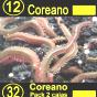 Coreano/Pack
