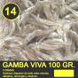 Gamba Viva
