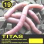 Titas