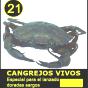 Cangrejo